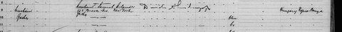 The same manifest: going to her husband, Samuel Eilander, 178 Brook Avenue, Bronx.