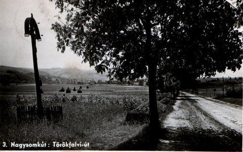 Nagysomkút (Șomcuta Mare): an old picture postcard of the Törökfalvi road. Berta (Erzsébet) Klein, born about 1875, and Samuel Klein, born 1877, very probably E