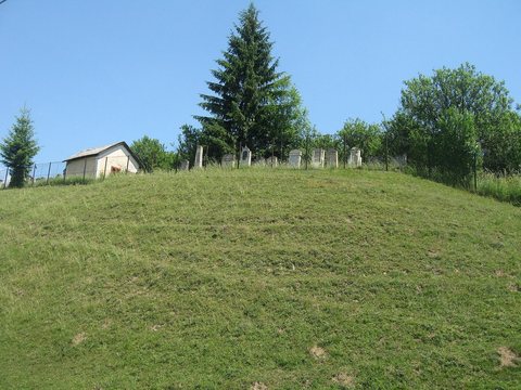 The Jewish cemetery of Gura Humorului, June 2011.