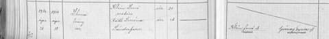 Felsőbánya birth act 42, 18 April 1914: Ilona Klein, daughter of Jenő Klein, painter, 30, and Szerina Róth, 26; Jenő reported the birth.