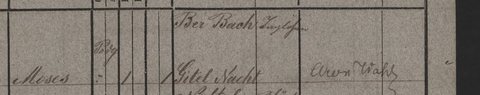 Birth of Jacob Hersch, son of Naftal Reich, merchant, and Pesche Gottesdiener, Przemyśl, November 1861 (entry 222, house no. 241).