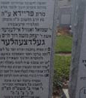 The gravestone of Frieda (Freida) Geldzahler née Eilender, daughter of R’ Shmuel Zanvel Eilender and wife of R’ Yitzchak Geldzahler, who die