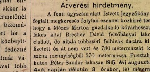 A public sale notice of August 1915: hay bought by “Brecher Dávid felsőbányai lakos” — David Brecher of Felsőbánya — from a farmer of Kővárh