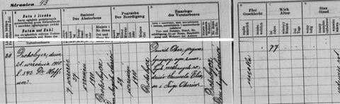 Death of Dawid Oher, Drohobycz, 27 September 1910 (act 211): son of the late Samuel Eliasz and Feiga Oher; 77, a widower; buried 29 September. (Cause-of-death c