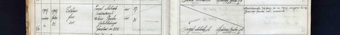 Birth of Zoltán Fogel, Felsőbánya, 21 February 1907, act 46: father Mihály Fogel, entrepreneur, 37; mother Berta Klein, 31. The margin points to death act 76/19