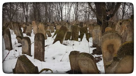 The Jewish cemetery of Rădăuți in winter; the stones of Eisig and Lea Brecher stand here.