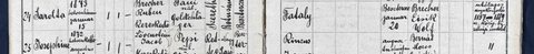 Bistrița Jewish birth register (unit 118), entry 24: Sarolta, b. Besztercze 15 Jan 1873, daughter of Ruben, merchant, born at Sereth, and Fani née Goldschläger