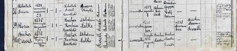 Bistrița Jewish birth register (unit 118), entries 39–40: Roza (b. 25 Dec 1838) and David (b. 4 Aug 1838), children of Hoschia Brecher, merchant of Sereth, and