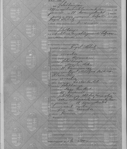 Felsőbánya birth act 101, 18 June 1899: Ferencz Fogel, son of Mihály Fogel, innkeeper, born in Magyarkékes, and Berta Klein, born in Nagysomkút (Esther’s sister