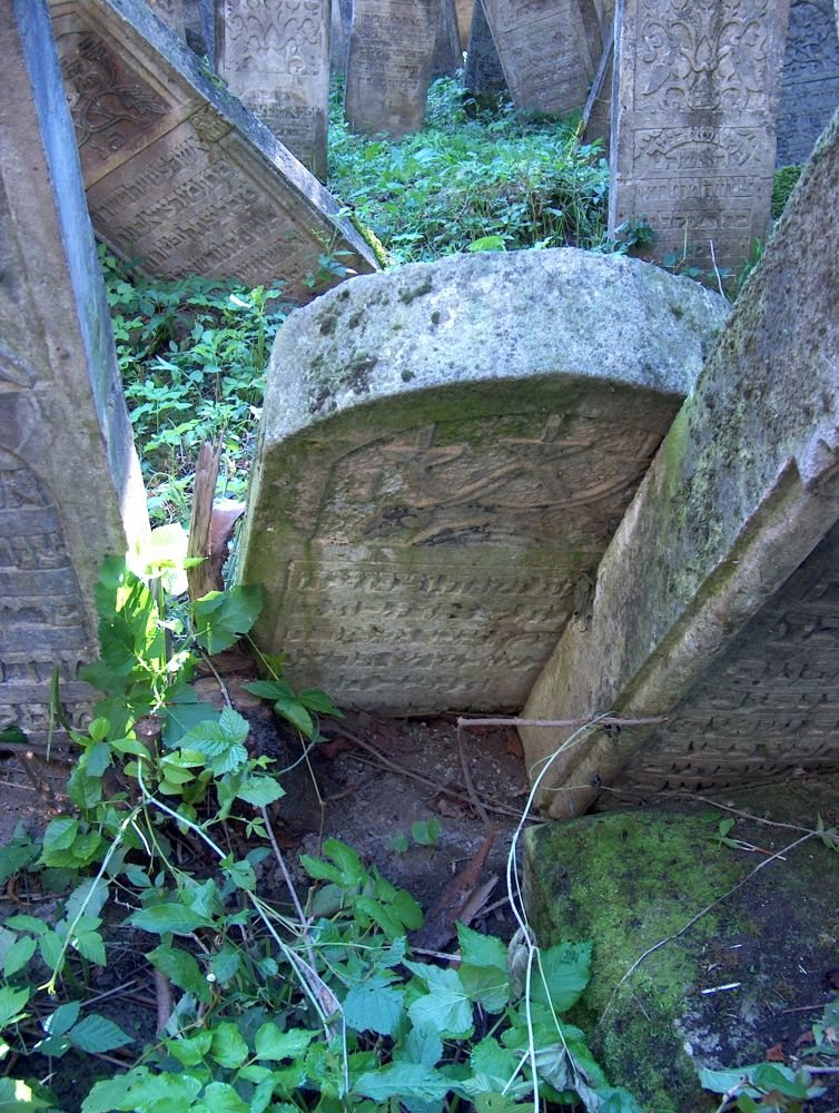 The stone of Lea Brecher, daughter of Binyamin Tzvi, wife of Eisig, who died 16 January 1916 aged 85. Rădăuți, plot 23, row 9.