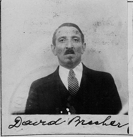 David Brecher, from his 1932 declaration of intention, Southern District of New York.