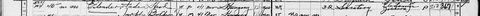 Frieda and Joseph Eilender, Rosa’s twins, in the 1950 census, Brooklyn.