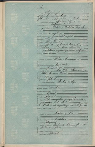 Marriage of Sámuel Pinkász Klein, Felsőbánya, 18 February 1902, act 8. His parents are Hermann Klein and Háni Ferencz, the same parents as B