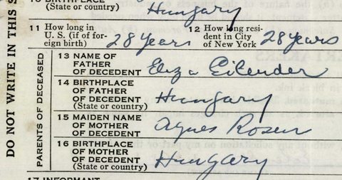Samuel Eilender’s death certificate, New York, 1937: his father is named as Eliza (Elias) Eilender and his mother as Agnes, both born in Hun