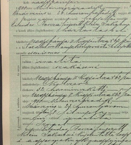 Nagybánya birth act 102, 23 March 1900: Izrael Eilender, son of Eszter Eilender, cook, 32; reported by Mrs Jakab Klein née Borcsa Eilender (kinship to Samuel Ei