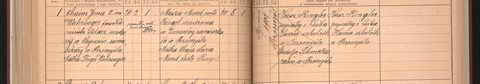Przemyśl, January 1908: marriage of Chaim Jona Wahrsager, carpenter of Chyrów, son of Feiga Wahrsager (the words 'falso Dominitz' after his name are struck thro