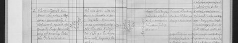 Medenice, 1931: marriage of Chaim Jakób Dominitz of Chyrów, ‘son of the late Feiga Dominitz, ritual wife of the late Gabriel Gotesdiener’, to Blima Dominitz of 