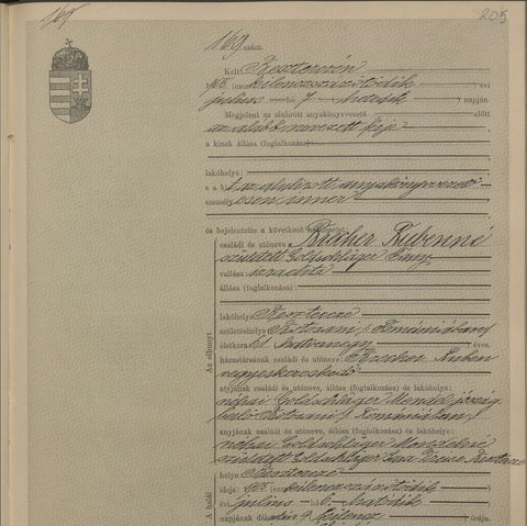 Death of Fany Brecher née Goldschläger, wife of Ruben Brecher, merchant of Bistrița (not Reuven Mordechai of our tree), Bistrița, 6 July 1905 (act 169): born at