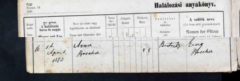 Bistrița Jewish death register (unit 123), entry 16: Avner, son of Eisig, died 1 April 1873, aged 4 years 8 months, in the upper suburb of Bistrița. The Brecher