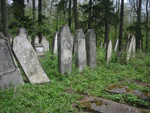 The Jewish cemetery of Banila (today Banyliv, Ukraine) in 2015 — the town of R’ Yaakov Zeev Wolf Brecher HaKohen of Banila and his family.