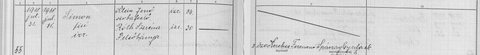 Felsőbánya birth act 55, 31 July 1918: an infant son of Jenő Klein, house-painter, 34, and Szerina Róth, 30.