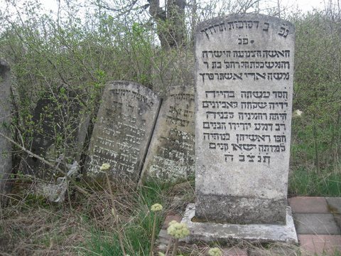 The Jewish cemetery of Buczacz in May 2014. (The stone in front is not a family stone; Malka Frenkel’s stone BB-29 stands in this cemetery.)