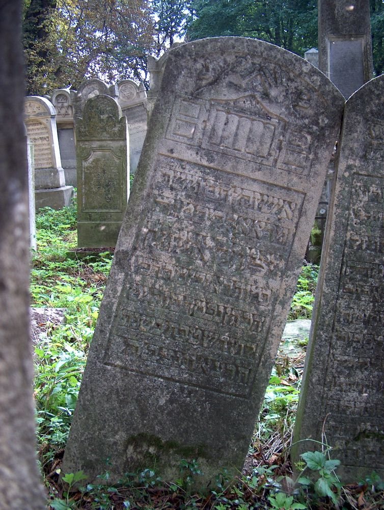 The stone of Eisig (Yitzchak Aizik) Brecher HaKohen, son of Reuven Mordechai, who died 19 January 1911 aged 79. Rădăuți Jewish cemetery, plot 23, row 7.