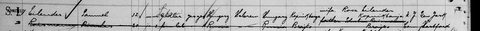 Samuel Eilender, 32, of Kapnikbánya, on the SS Cleveland from Hamburg, arriving at Ellis Island 25 July 1909 (line 1).