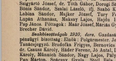 David Brecher named an alternate member of a town committee after the municipal elections, 28 July 1910.
