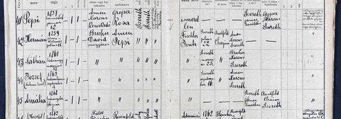 Bistrița Jewish birth register (unit 118), entries 41–45: Pepi née Amen (b. Sereth 1837) and her children with David the distiller, born at Sereth: Hermán 1859,