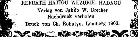 Title page of Refuot HaTugah u-Tzori HaDe’agah, published by Jakob W. (Yaakov Zeev) Brecher, Lemberg (Lviv), 1902.