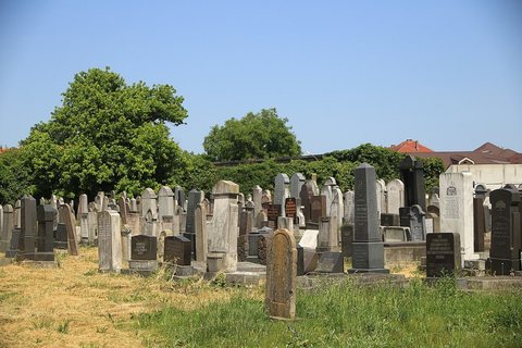A Jewish cemetery of Satu Mare (Szatmárnémeti), photographed in June 2025. Chaim Yehuda (Miksa) Brecher (d. 1940) and his wife Pessel (d. 1941) are buried in th